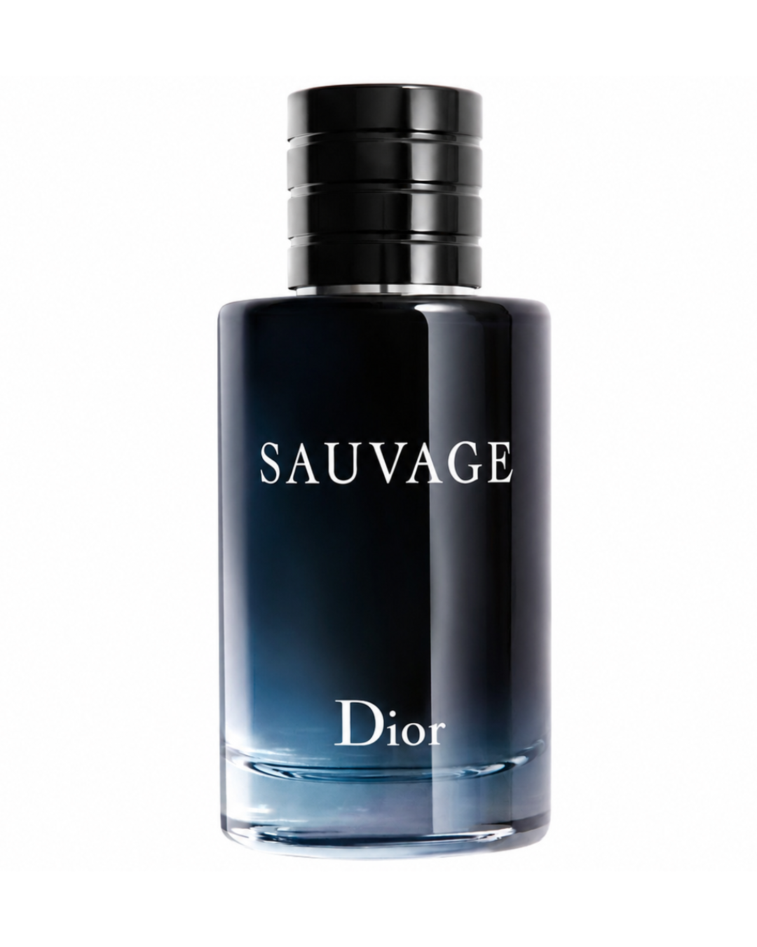 Dior Sauvage [100 ml] (C) | EDT