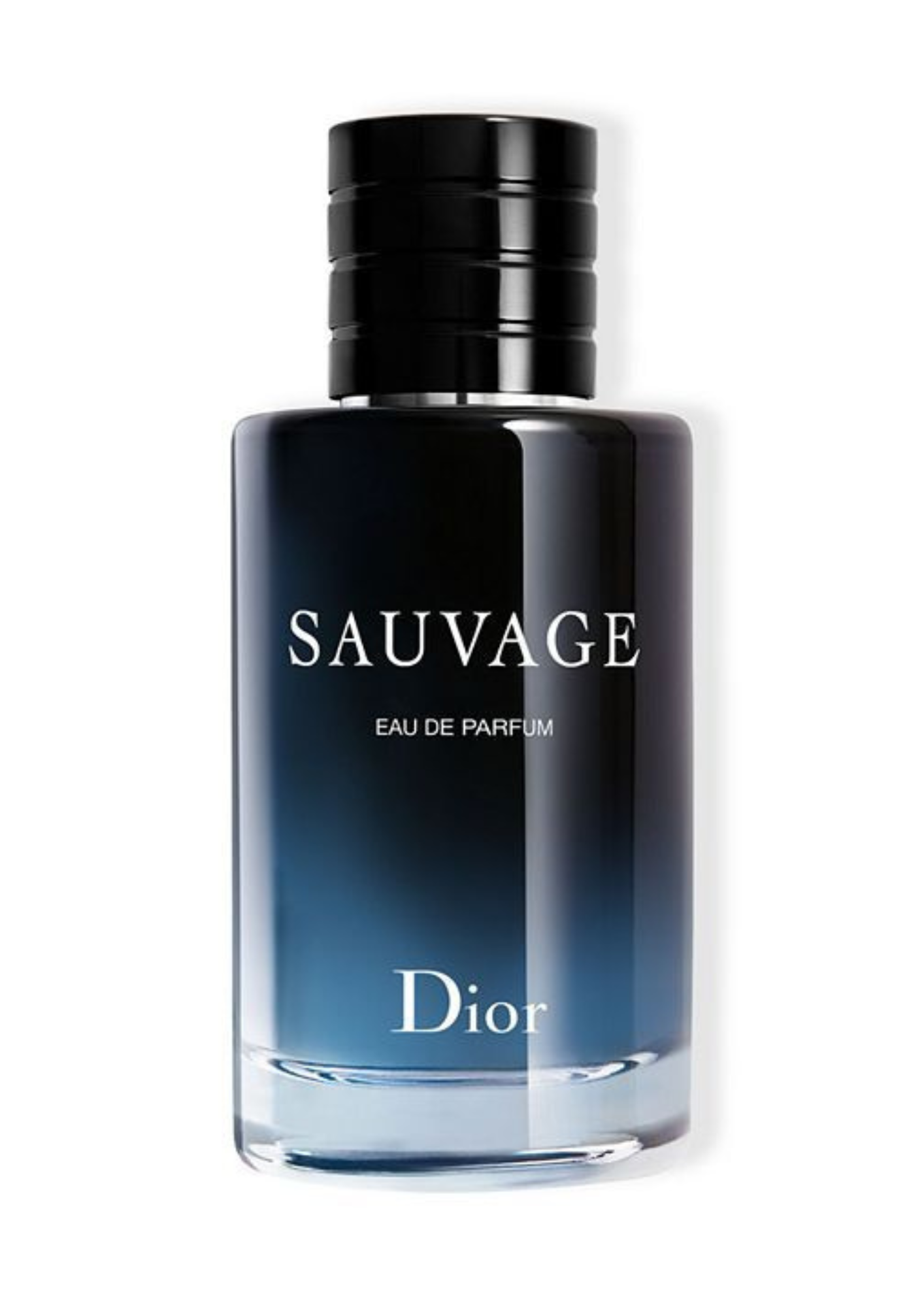 Dior Sauvage [100 ml] (C) | EDP