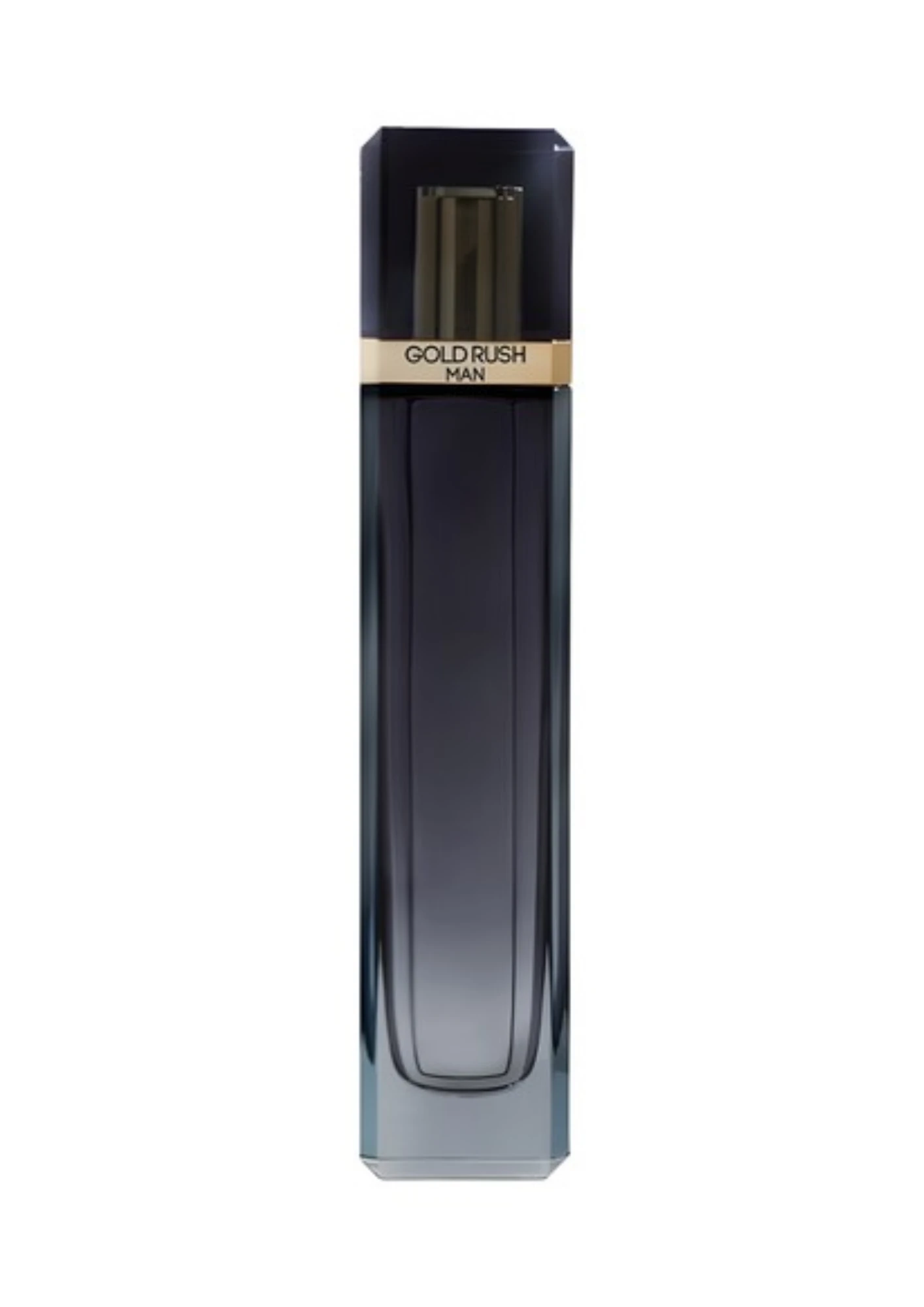 Paris Hilton Gold Rush Man [100 ml] (C) | EDT