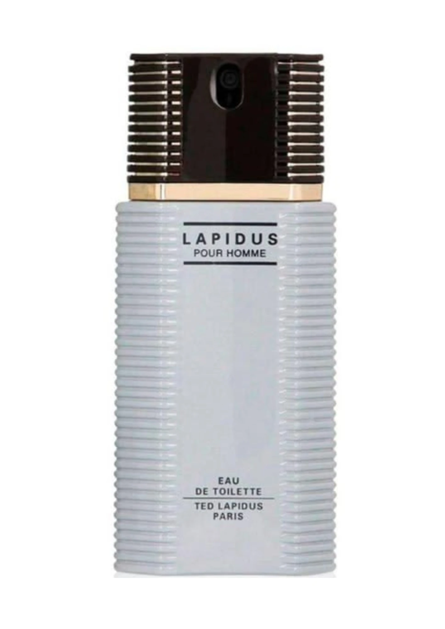 Ted Lapidus Pour Homme [100 ml] (C) | EDT